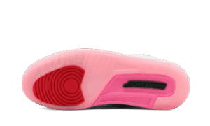 Air Jordan 3 Retro Wings