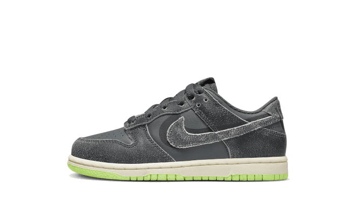 Dunk Low Swoosh Shadow Iron Grey Enfant (PS)