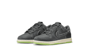 Dunk Low Swoosh Shadow Iron Grey Enfant (PS)