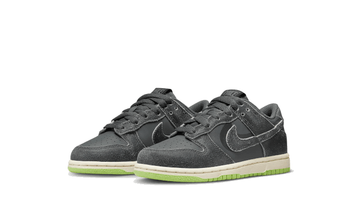 Dunk Low Swoosh Shadow Iron Grey Enfant (PS)