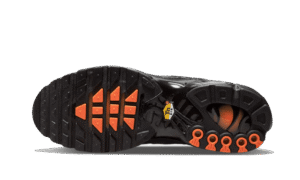 Air Max Plus 3D Swoosh Black