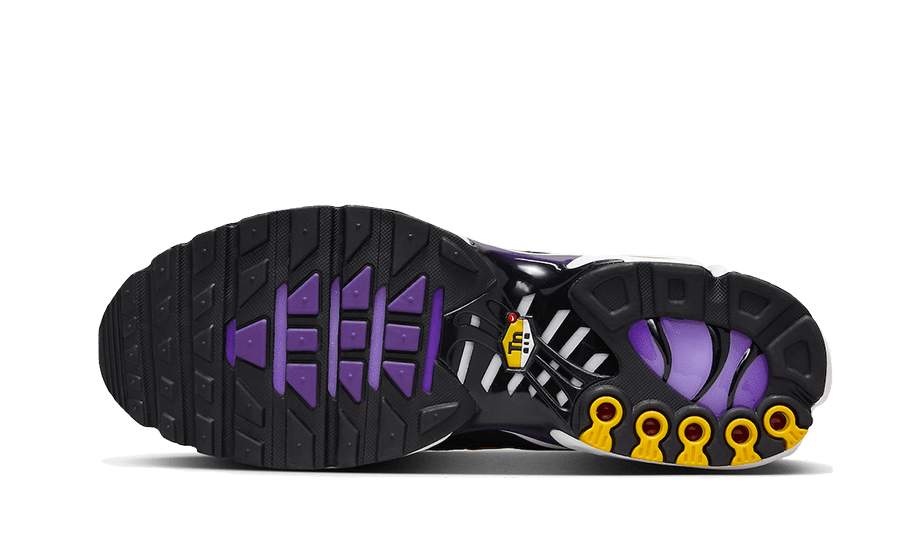 Air Max Plus Voltage Purple