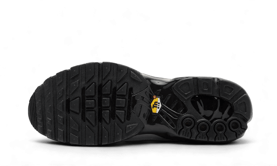 Air Max Plus Tiempo Wolf Grey