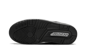 Air Jordan 3 Black Cat (2025)