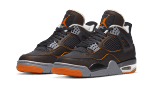 Air Jordan 4 SE Starfish