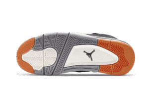 Air Jordan 4 SE Starfish