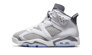 Air Jordan 6 Cool Grey