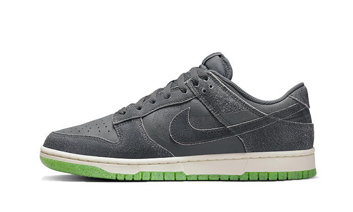 Dunk Low Swoosh Shadow Iron Grey