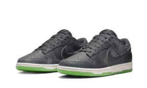 Dunk Low Swoosh Shadow Iron Grey