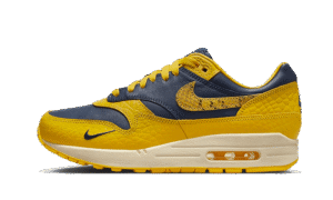 Air Max 1 CO.JP Michigan