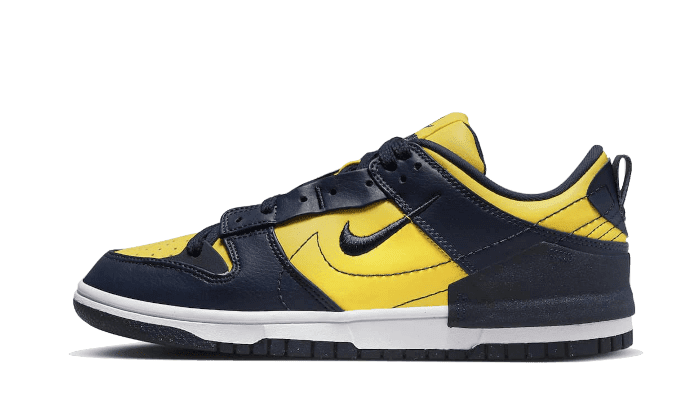 Dunk Low Disrupt 2 Michigan