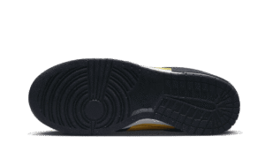 Dunk Low Disrupt 2 Michigan