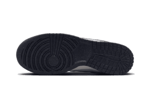 Dunk Low Next Nature Photon Dust