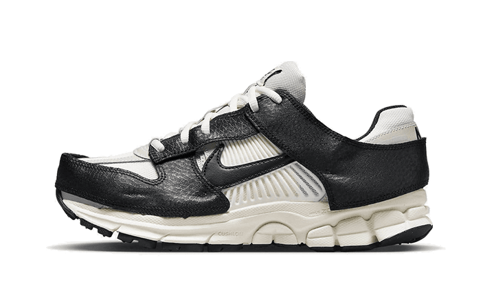 Zoom Vomero 5 Timeless Panda Dunk