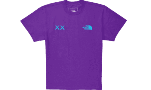 KAWS Tee Gravity Purple