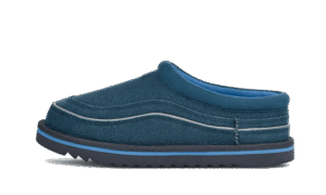 Tasman Cali Wave Evening Sky Big Sky