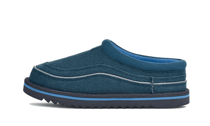 Tasman Cali Wave Evening Sky Big Sky