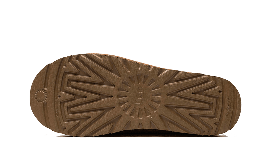 Tasman Slipper Chestnut