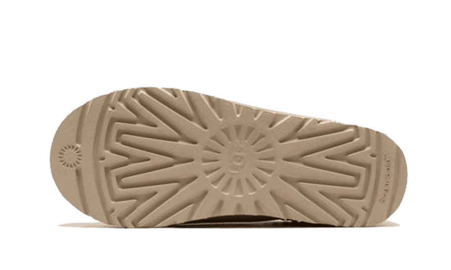 Tasman Slipper Mustard Seed