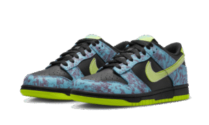 Dunk Low Acid Wash