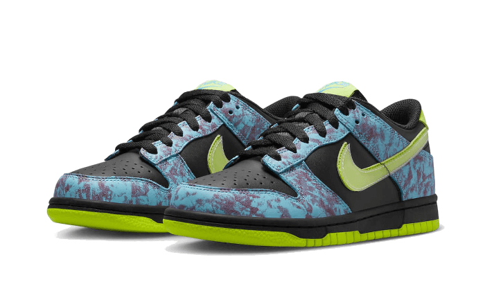 Dunk Low Acid Wash