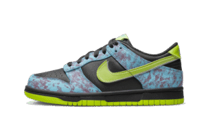 Dunk Low Acid Wash